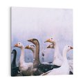 Obraz na płótnie 60x60 - Spotkanie Wśród Piór - uchwycony moment, fotografia