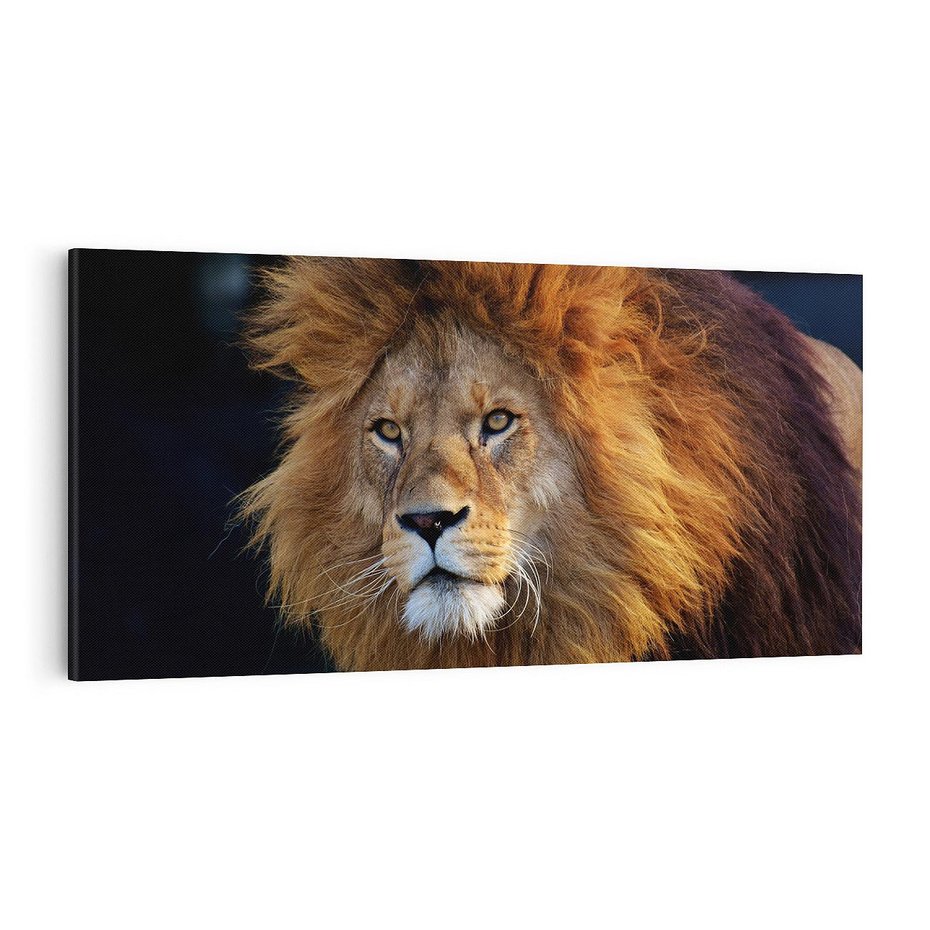 Obraz na płótnie 100x50 - Lew - Król Zwierząt - lew, zwierzęta