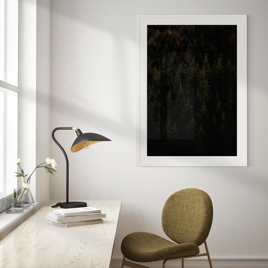 Plakat bez ramy 40x50 - Ciemny las iglasty - las, iglasty