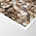 Plakat bez ramy 40x50 - Delikatność Hortensji: Kompozycja Kwiatów w Beżu - hortensja, odcienie beżu
