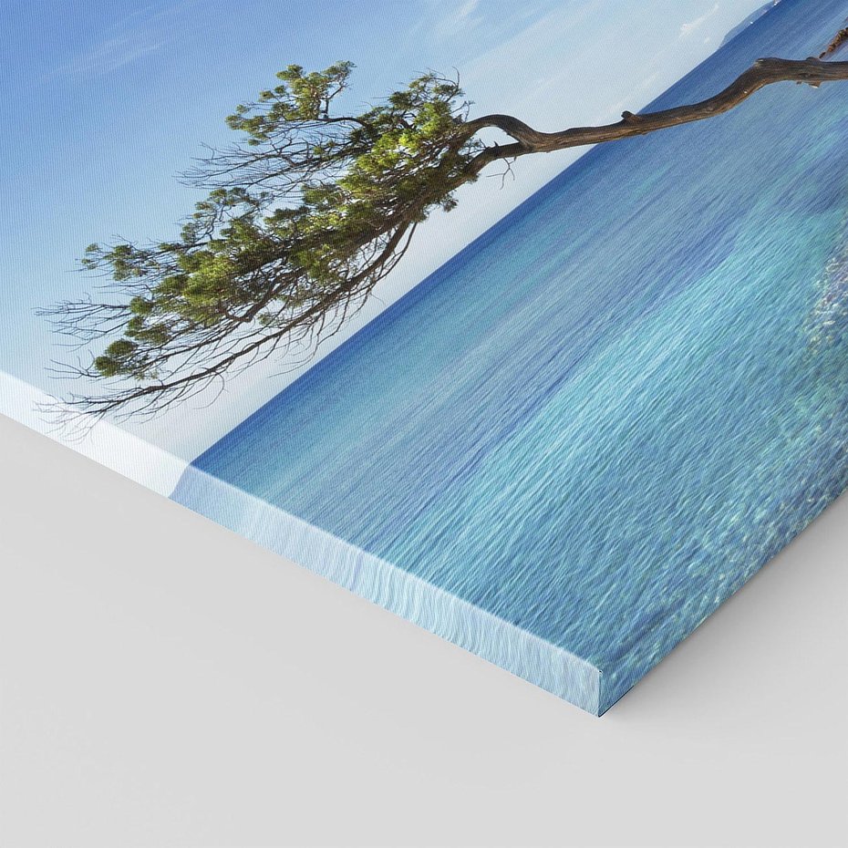 Obraz na płótnie 120x60 - Korsyka - morze i drzewa - Korsyka, morze