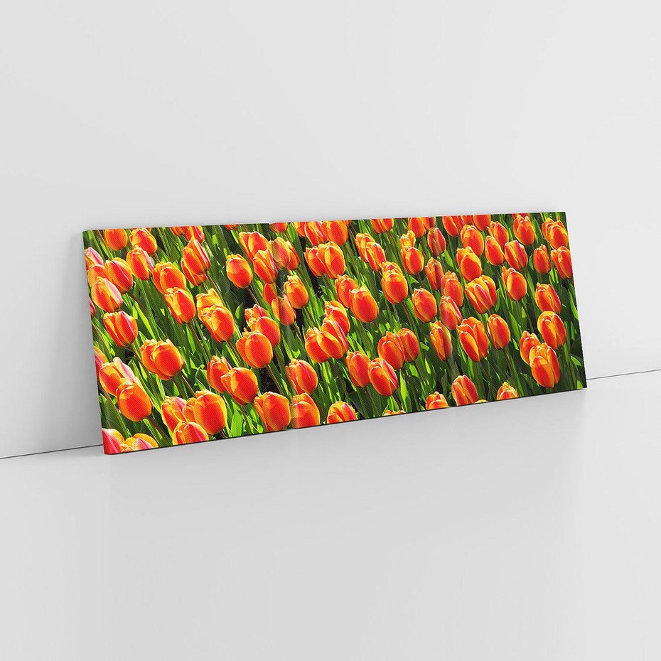 Obraz na płótnie 120x40 - Urok tulipanów piękno kwiatów - tulipany, kwiaty