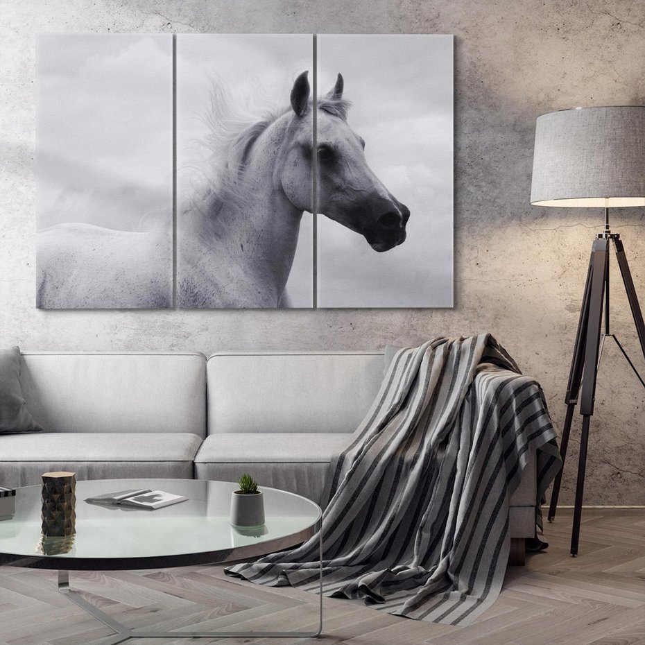 Obraz na płótnie 120x80 - Moc i Wolność - czarno biała fotografia, biały