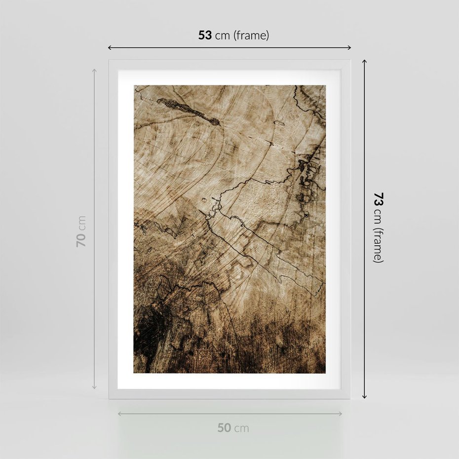 Plakat w ramie 50x70 - Słoje Natury - słoje drzewa, pieńdrzewa - rama biała