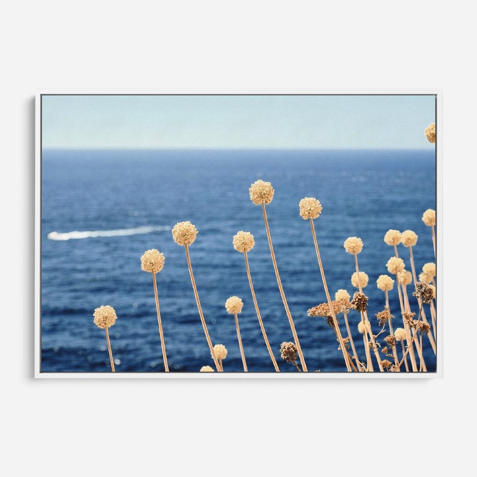 Obraz w ramie 120x80 - Kontrasty Natury - fotografia, pierwszy plan sucha roślinność - rama biała