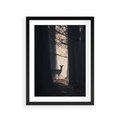Plakat w ramie 30x40 - Sarnie Skoki - zdjęcie, klimatyczny las - rama czarna