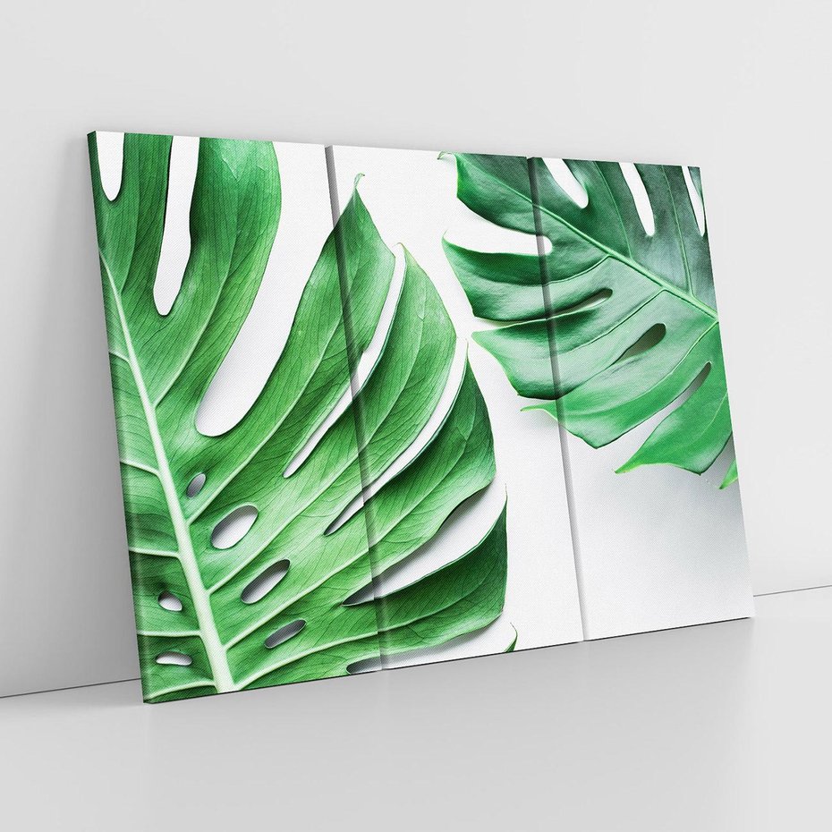 Obraz na płótnie 120x80 - Monstera - Liście Kwiaty - monstera, liście