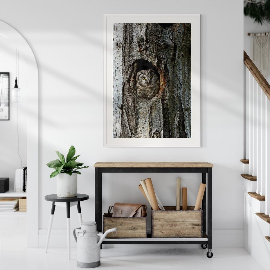 Plakat bez ramy 50x70 - Tajemniczy W świecie Nocy - sowa, dziupla