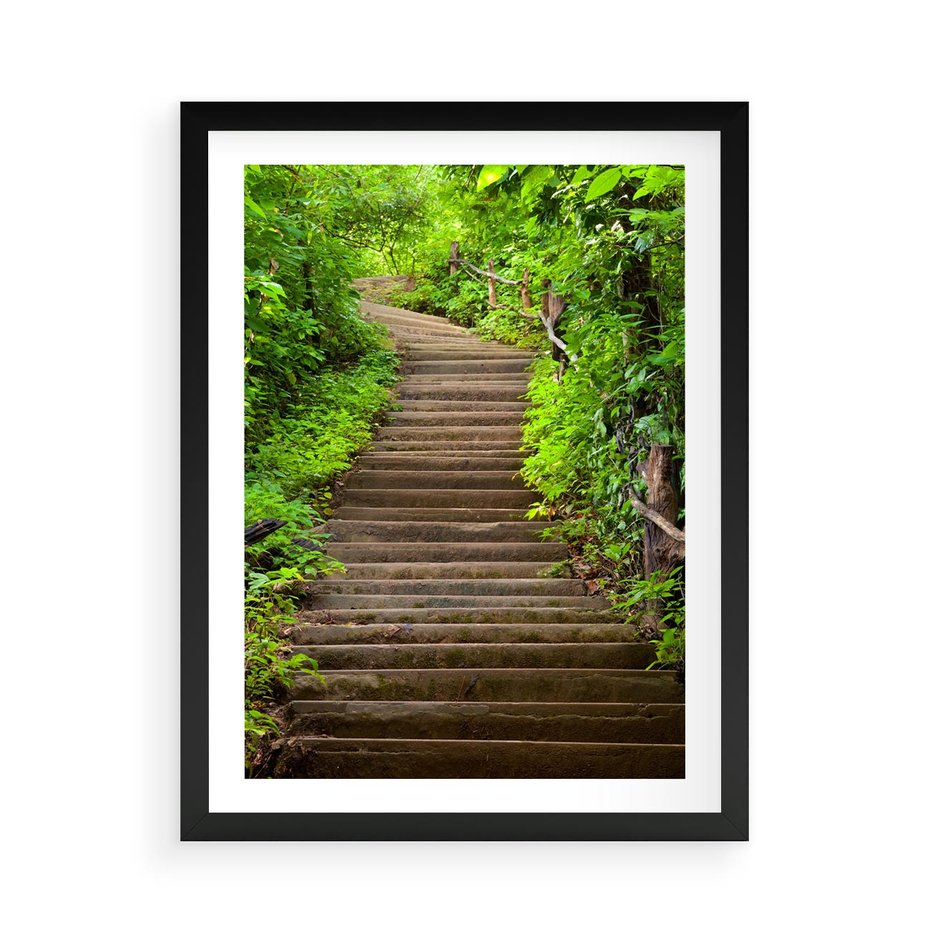 Plakat w ramie 50x70 - Magia Leśnej Ścieżki - ścieżka, w lesie - rama czarna
