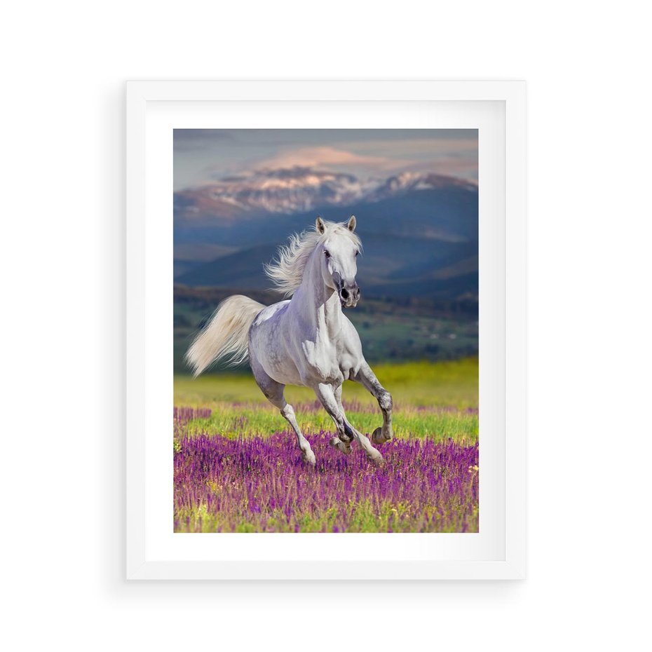Plakat w ramie 40x50 - Koń Góry: Spotkanie z Wielką Przyrodą - koń, góry - rama biała