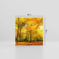 Obraz na płótnie 70x70 - Urok jesiennego lasu - las, drzewa