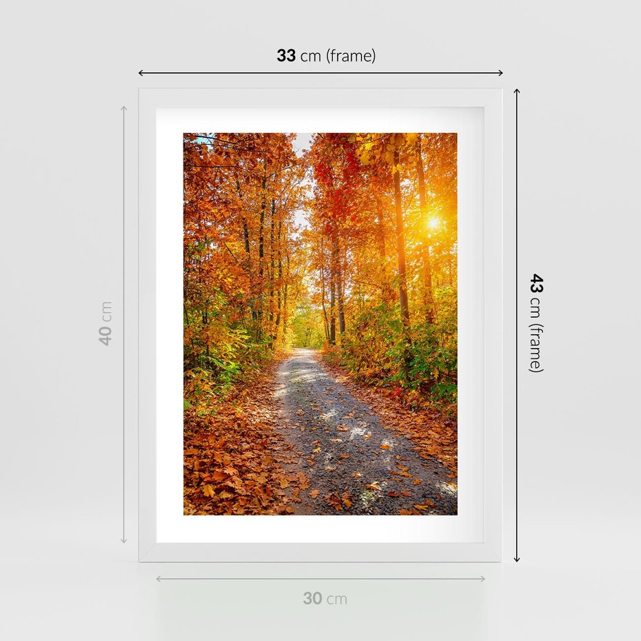 Plakat w ramie 30x40 - Kolorowe drzewa na ścieżce jesieni - las, jesień - rama biała