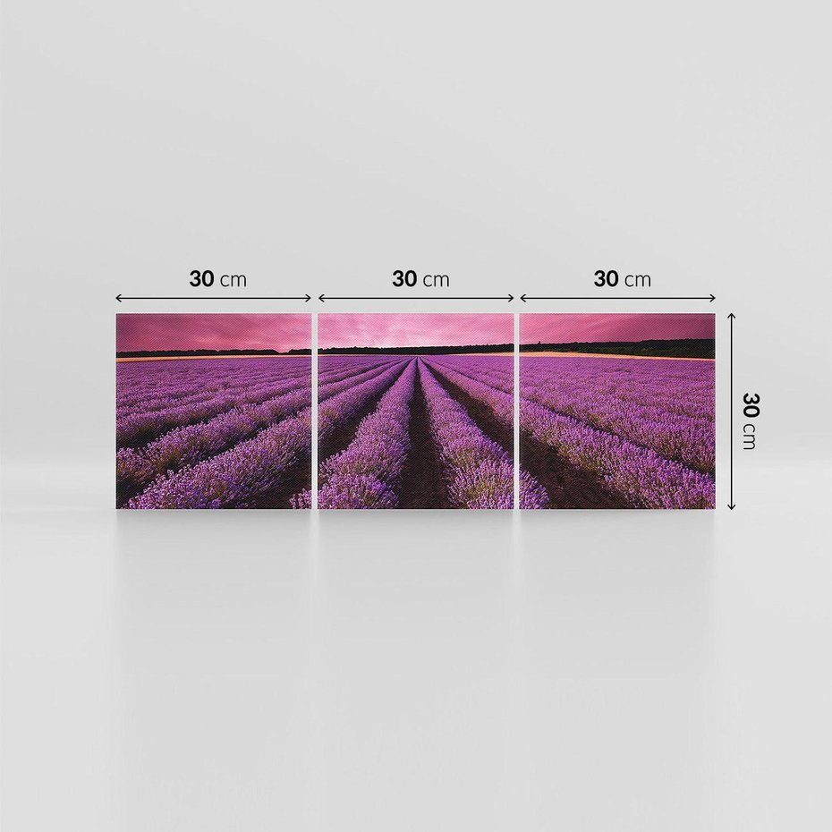 Obraz na płótnie 90x30 - Pola lawendy w pełnym rozkwicie - Lawenda, krajobraz