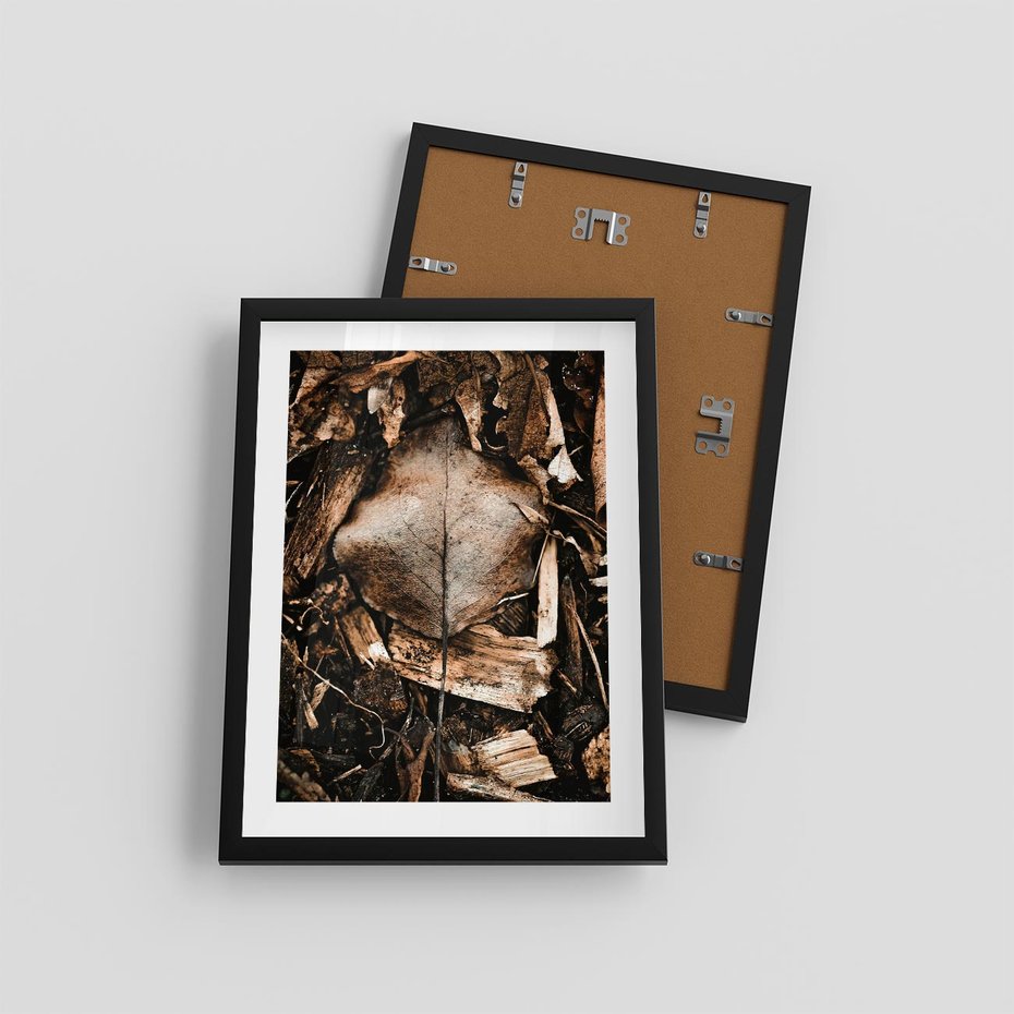 Plakat w ramie 30x40 - Samotny Liść - liść, brąz - rama czarna