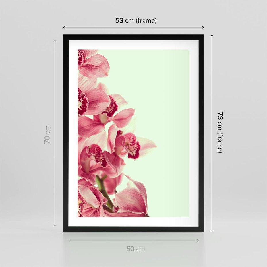 Plakat w ramie 50x70 - Orchidea - delikatne kwiaty - orchidea, kwiaty - rama czarna