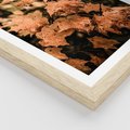 Plakat w ramie 40x50 - Ciepło Jesieni - jesienne pomarańczowe liśćie, jesień - rama drewno