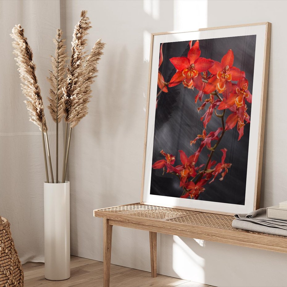 Plakat w ramie 40x50 - Kolorowy Raj - kwiaty, tropikalne - rama drewno
