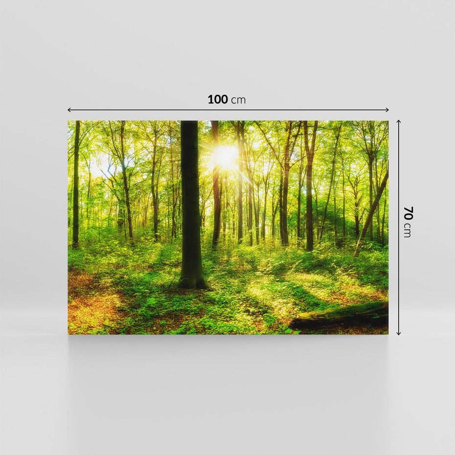 Obraz na płótnie 100x70 - Mistyfikujący las - las, drzewa