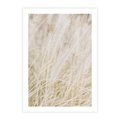 Plakat bez ramy 21x30 - Białe Trawy Pampas - suche trawy, białe trawy
