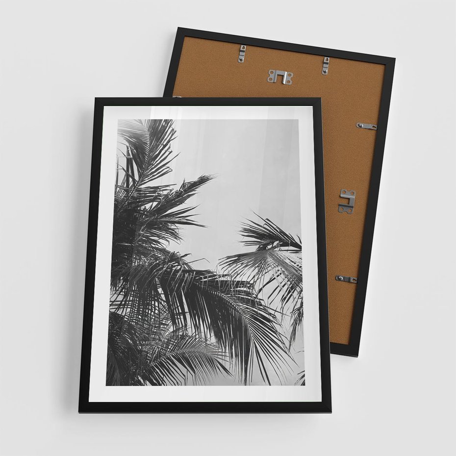 Plakat w ramie 50x70 - Palmy w Monochromii - palmy, tropikalne palmy - rama czarna