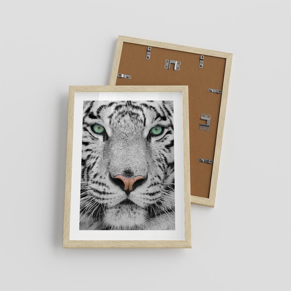 Plakat w ramie 30x40 - Magia Białego Tygrysa - biały, tygrys - rama drewno