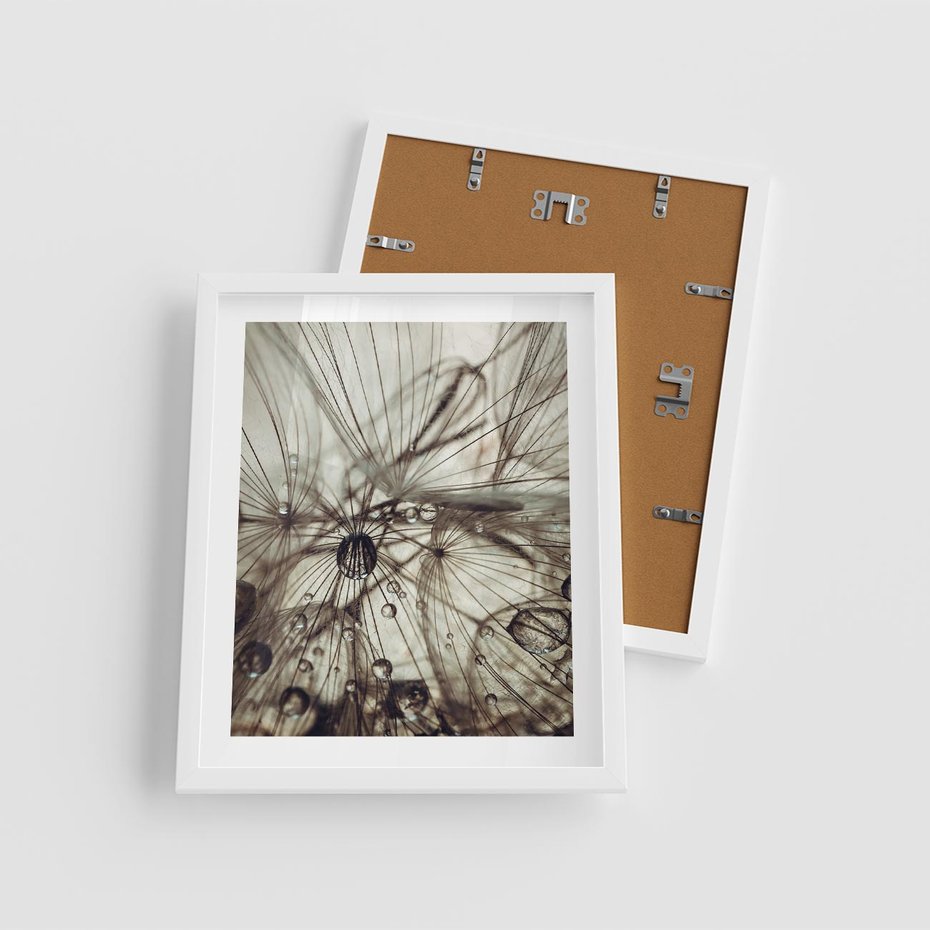 Plakat w ramie 40x50 - Lekkie dmuchawce - dmuchawce, krople - rama biała