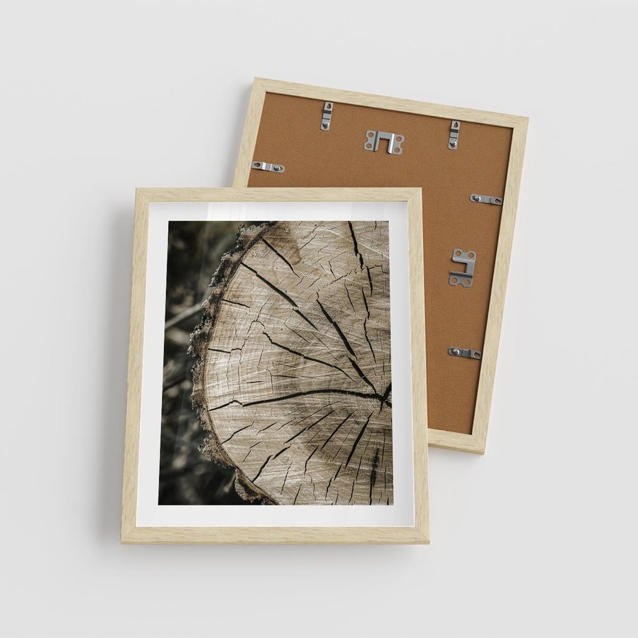 Plakat w ramie 40x50 - Wnętrze Natury - pień, przecięty pień - rama drewno