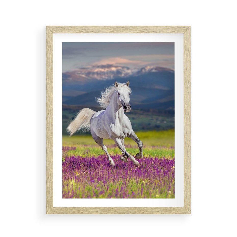 Plakat w ramie 50x70 - Koń Góry: Spotkanie z Wielką Przyrodą - koń, góry - rama drewno