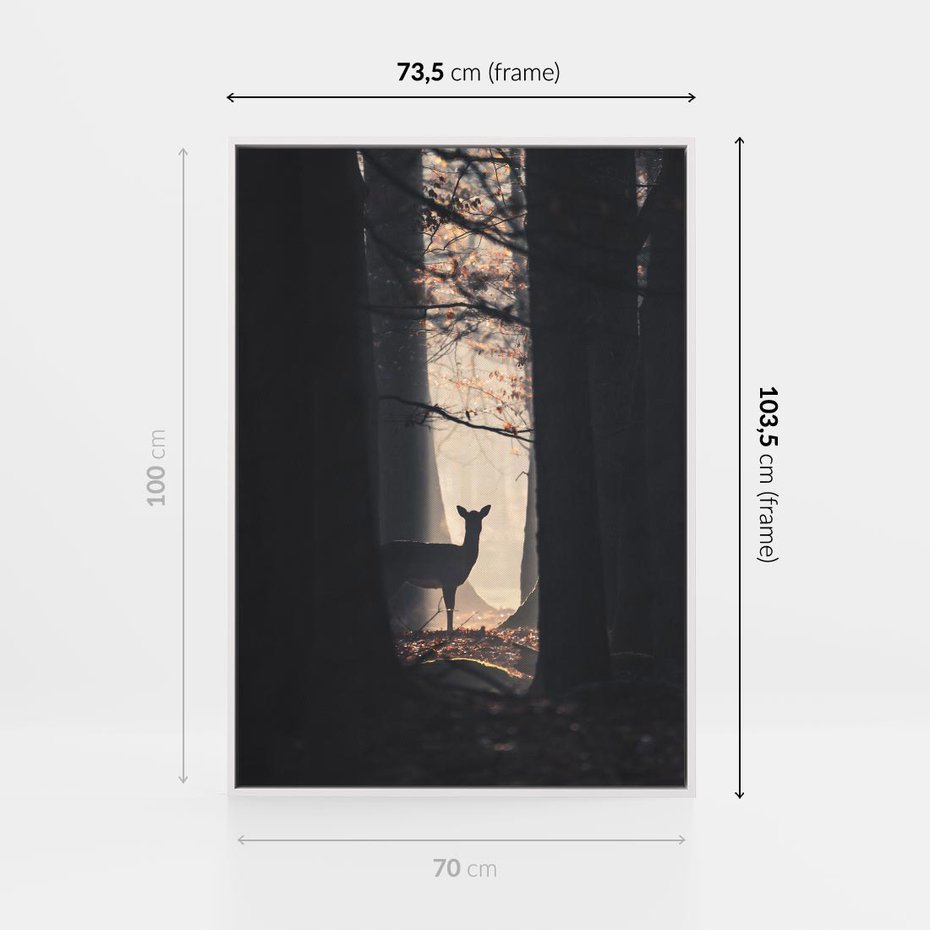 Obraz w ramie 70x100 - Sarnie Skoki - zdjęcie, klimatyczny las - rama biała