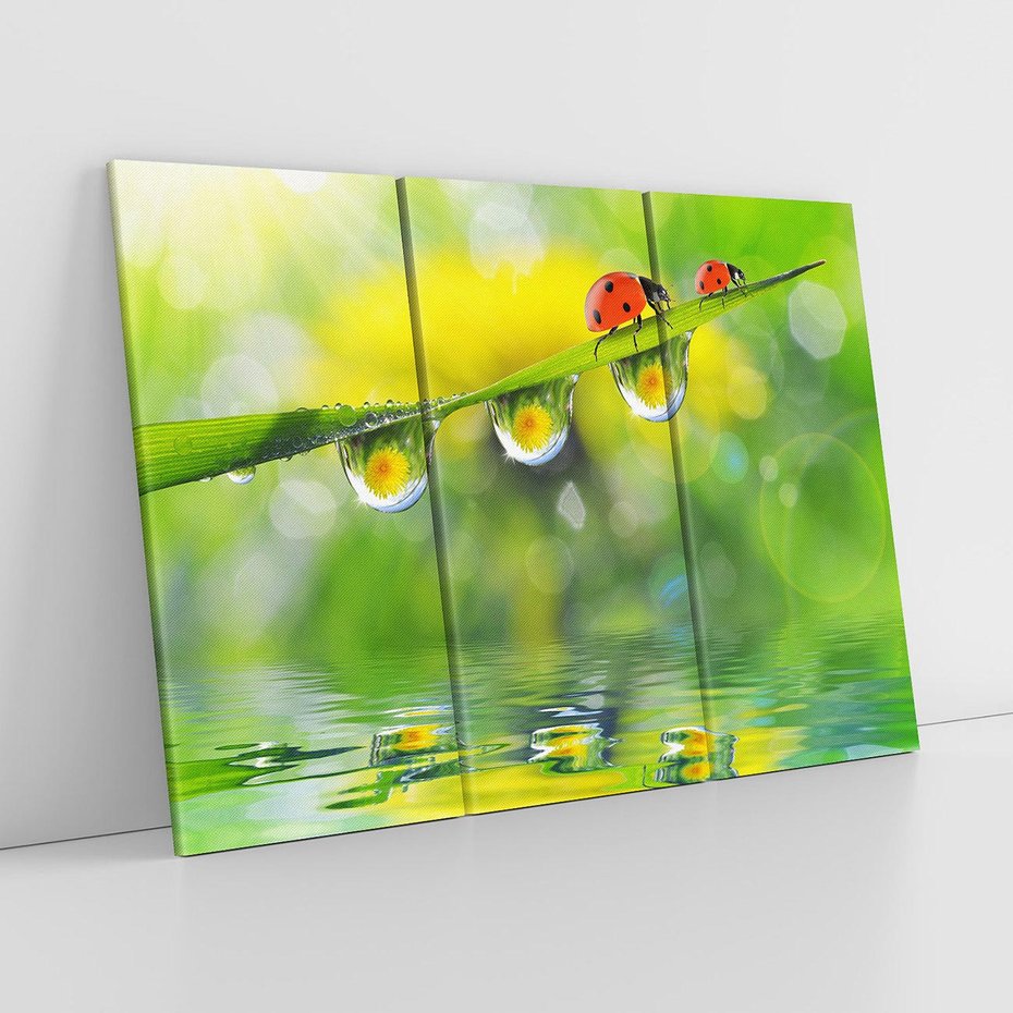 Obraz na płótnie 120x80 - Deszczowa Biedronka - biedronka, deszcz