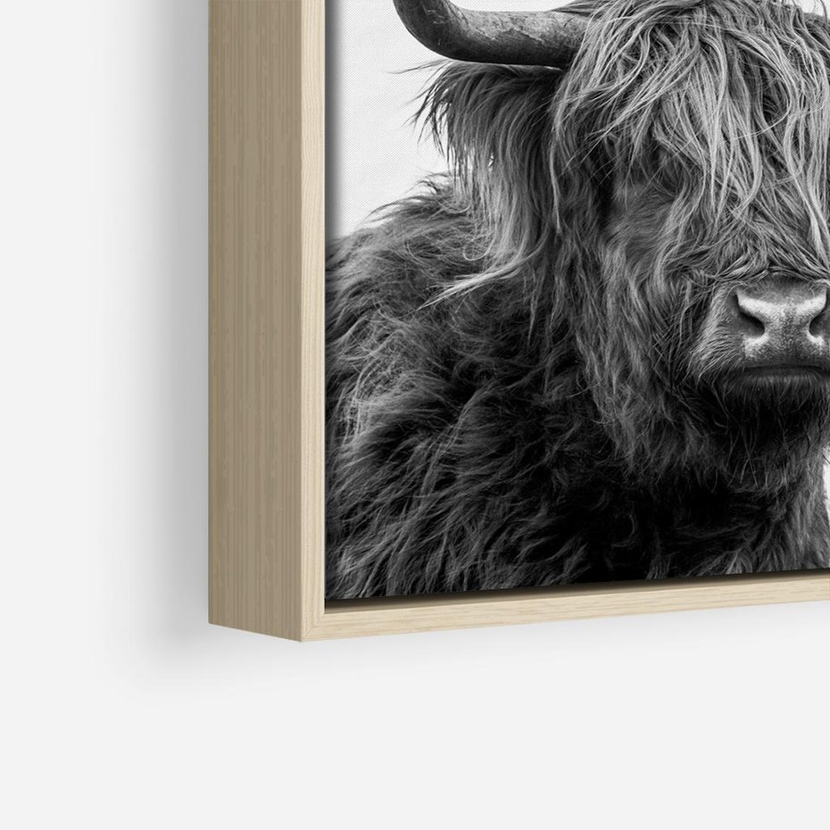 Obraz w ramie 50x50 - Moc i Spokój - amerykańskie bydło, byk - rama drewno