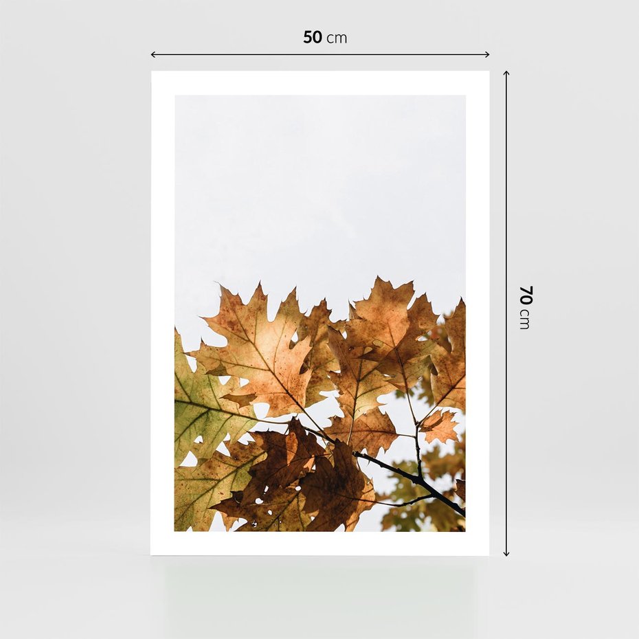 Plakat bez ramy 50x70 - Suche Żółte Liście w Malowniczym Ujęciu - liście, żółte