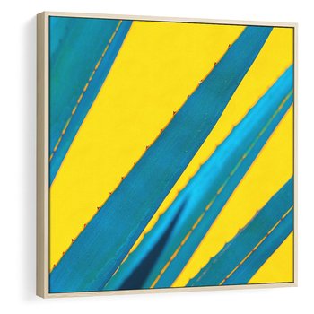 Obraz w ramie 80x80 - Świeżość Natury - aloes, liście - rama drewno