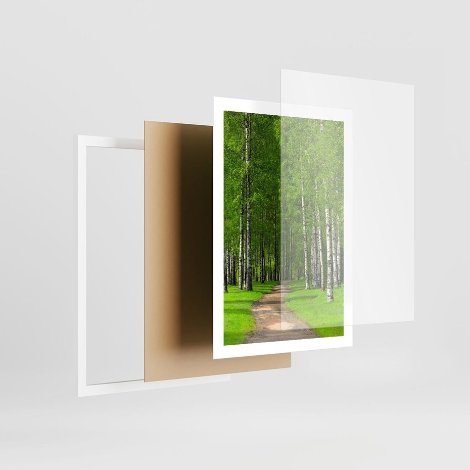 Plakat w ramie 50x70 - Spacer Ścieżką w Urokliwym Lesie - las, ścieżka - rama biała