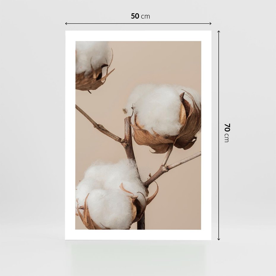 Plakat bez ramy 50x70 - Bawełniana melancholia - bawełna, suche