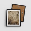 Plakat w ramie 40x50 - Słoje Natury - słoje drzewa, pieńdrzewa - rama czarna