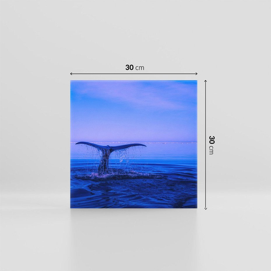 Obraz na płótnie 30x30 - Morze, fale i skały - wieloryb, morze