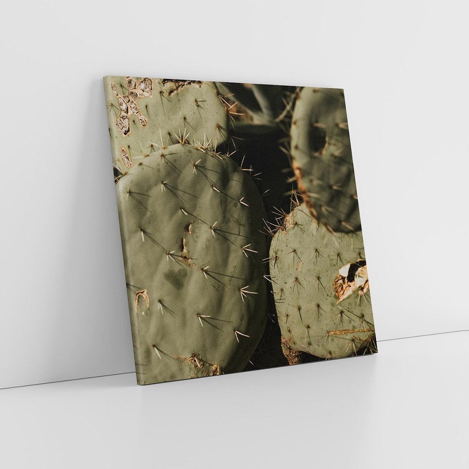 Obraz na płótnie 80x80 - Urok Egzotyki - kaktusy, boho