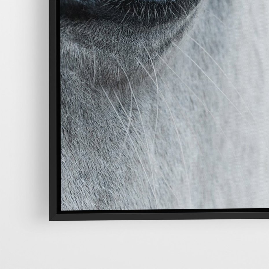 Obraz w ramie 70x100 - Oko Mocy - czarno białe zdjęcie, zbliżenie makro na oko konia - rama czarna