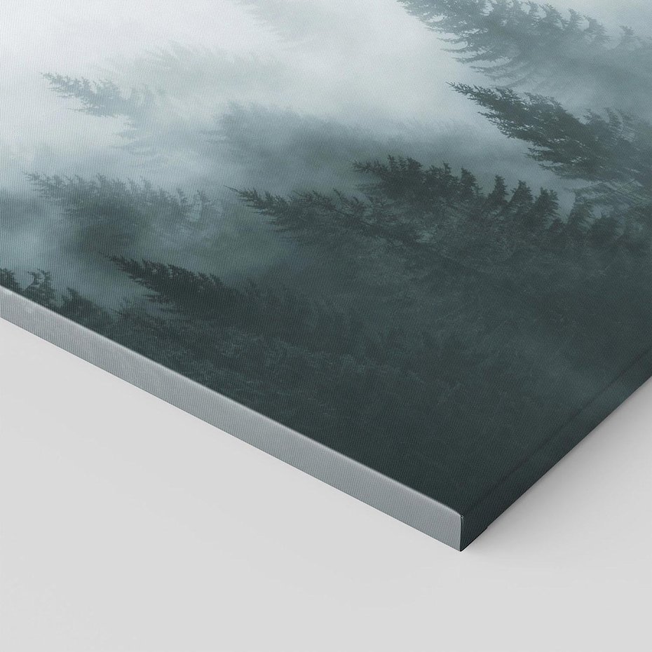 Obraz na płótnie 70x50 - Las w Mgłe - las, we