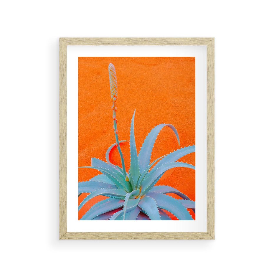 Plakat w ramie 30x40 - Naturalna Harmonia - kaktusy, liście - rama drewno