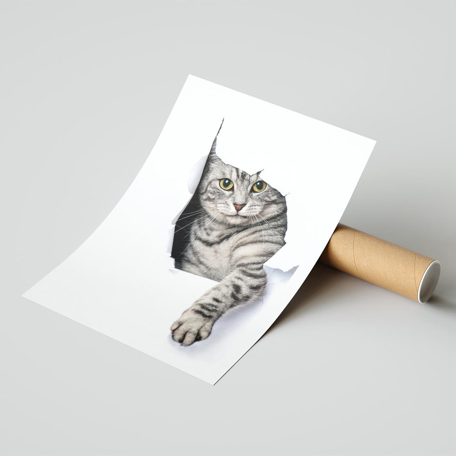 Plakat bez ramy 21x30 - Tajemniczy kot i jego świat - kot, dziura