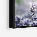 Obraz w ramie 50x50 - Delikatna Uroda Natury - wrzosy, fiolet - rama czarna