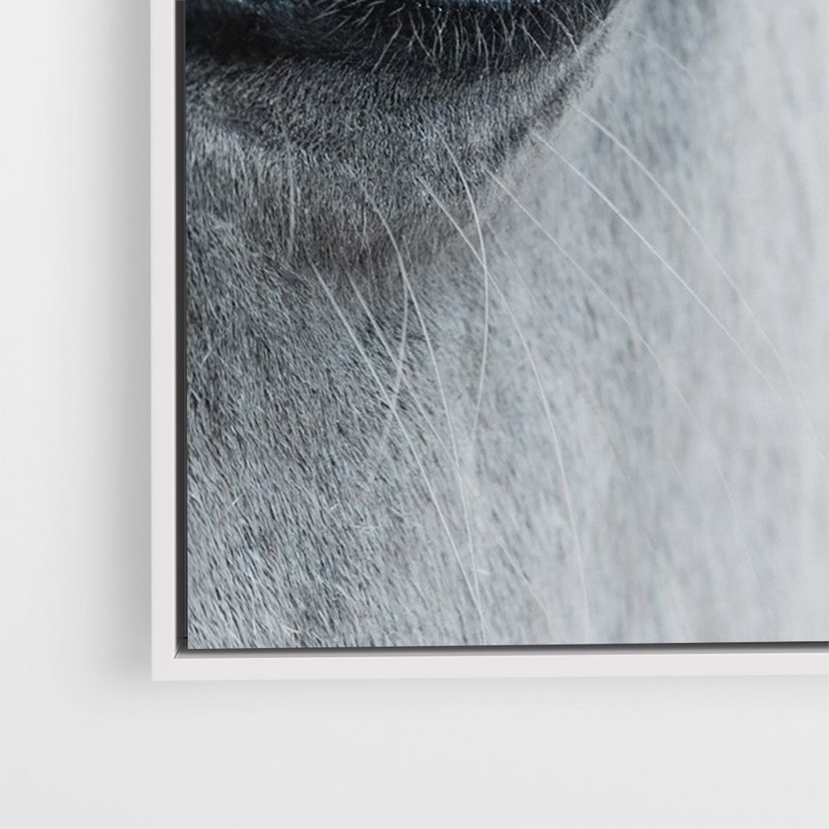 Obraz w ramie 70x100 - Oko Mocy - czarno białe zdjęcie, zbliżenie makro na oko konia - rama biała