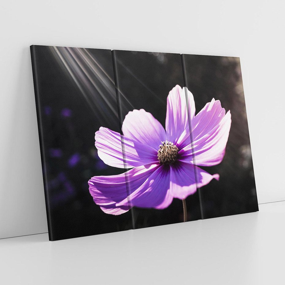 Obraz na płótnie 120x80 - Kwiatowy taniec natury - kwiat, kwiaty