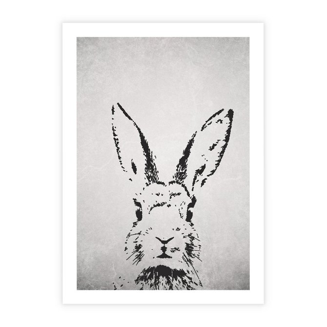 Plakat bez ramy 21x30 - Szkicowany królik w grafice - szkic, królik