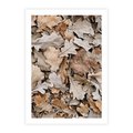 Plakat bez ramy 21x30 - Nostalgiczny Pejzaż - suche liście, jesień