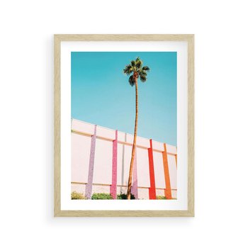 Plakat w ramie 50x70 - Tropikalny Kontrast - palma na tle błękitnego nieba, kolorowy mur - rama drewno