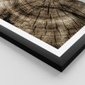 Plakat w ramie 40x50 - Natura Pod Lupą - pień drzewa, przekrój - rama czarna