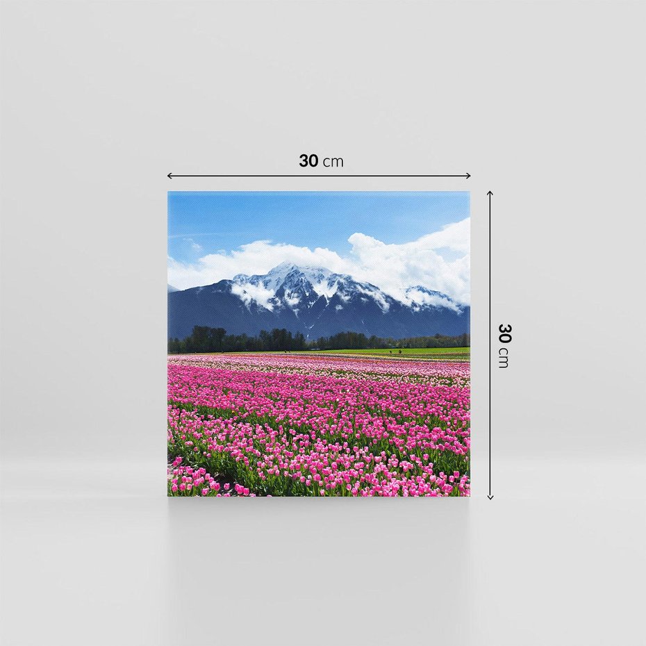 Obraz na płótnie 30x30 - Tulipany w malowniczym krajobrazie" - tulipany, krajobraz